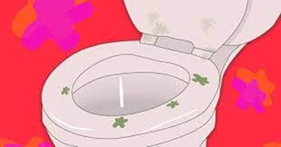 toliet seat_