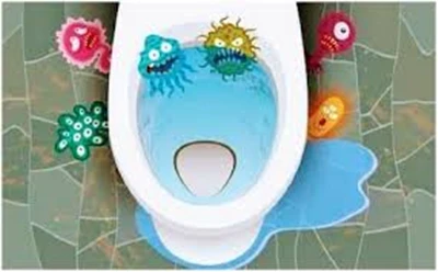 cleaning toliet seat_