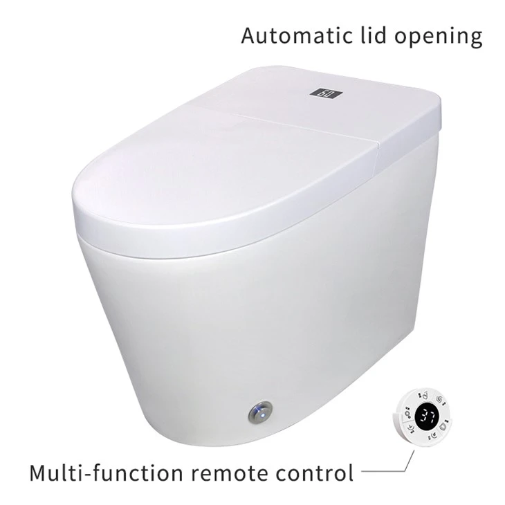 smart toilet